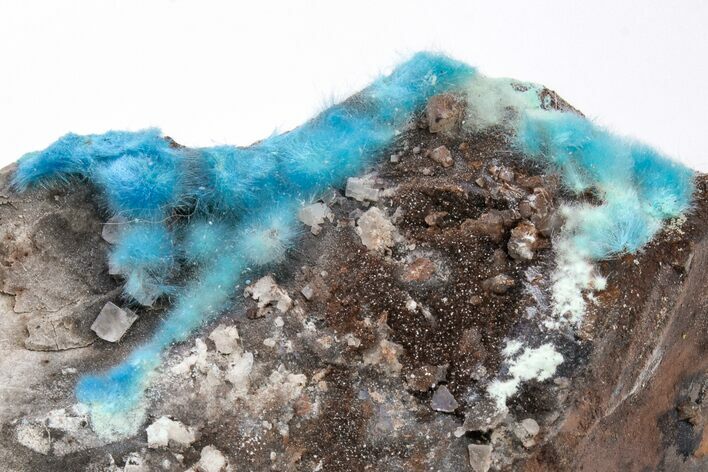 Vibrant Blue, Cyanotrichite with Cubic Fluorite - China #218401